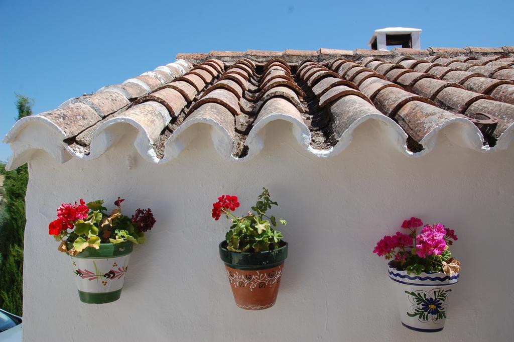 La Escuela Del Campo Bed and Breakfast Setenil De Las Bodegas Esterno foto